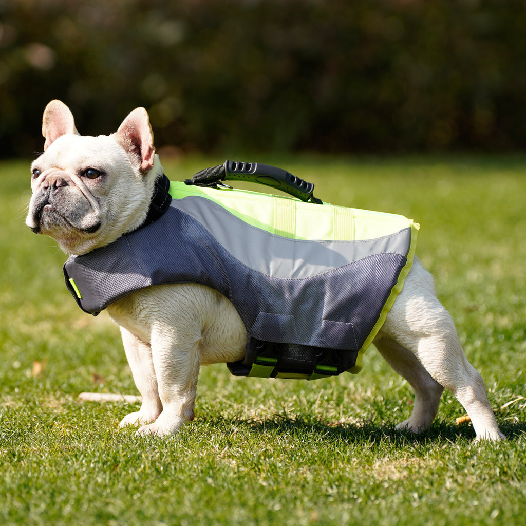 Reflective Dog Life Jacket Pet Swim Vest with Handle – AdriaPulse
