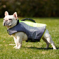 Reflective Dog Life Jacket Pet Swim Vest with Handle – AdriaPulse
