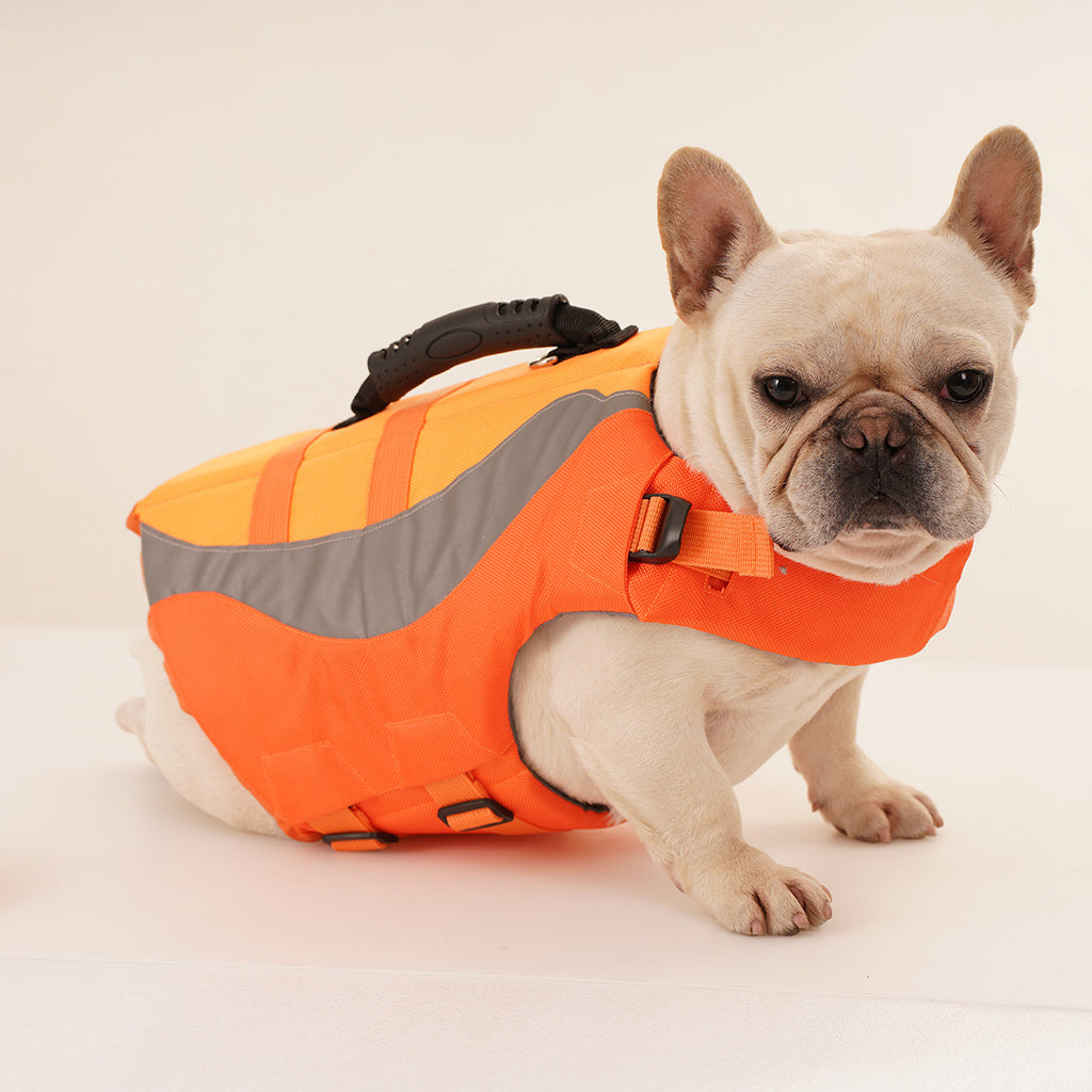 Reflective Dog Life Jacket Pet Swim Vest with Handle – AdriaPulse
