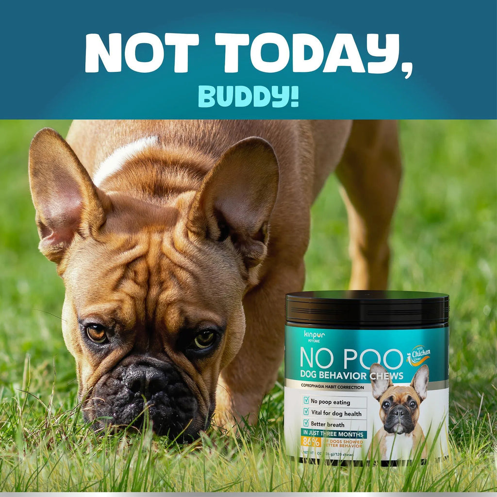 No Poo Chews for Dogs – Stop Poop Eating with Probiotics & Digestive Enzymes | 180 Soft Chews