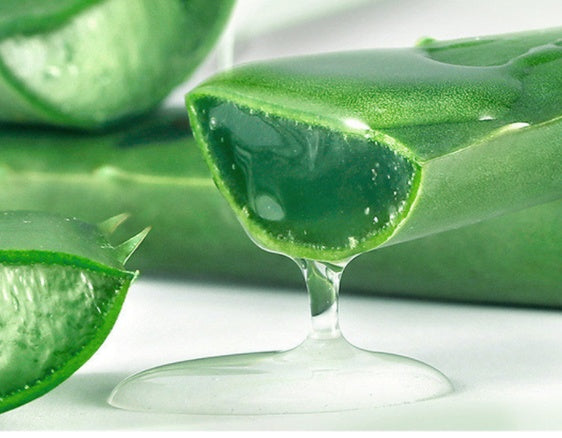 x Horn Aloe Vera Gel 260g – Moisturizing Face & Body Cream | adriapulse"