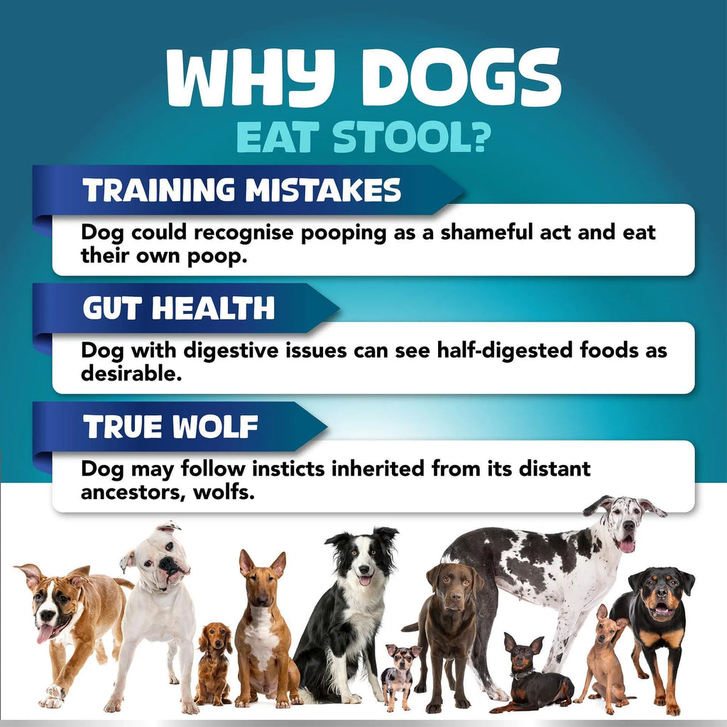 No Poo Chews for Dogs – Stop Poop Eating with Probiotics & Digestive Enzymes | 180 Soft Chews