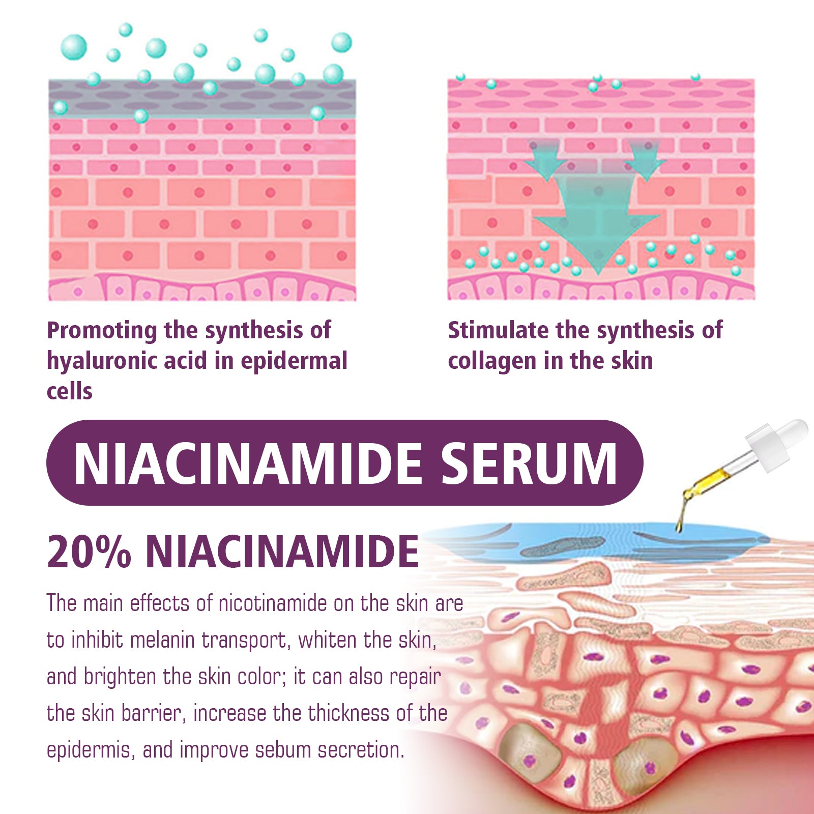 EELHOE Niacinamide Serum 20ml – Porenverfeinernde, aufhellende & faltenmindernde Hautpflege