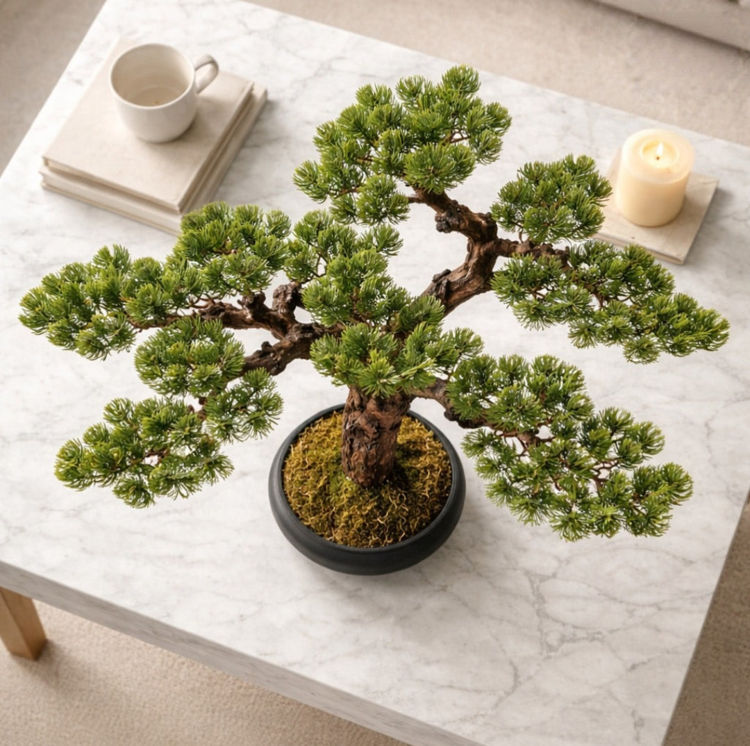 Bonsai-Baum.
