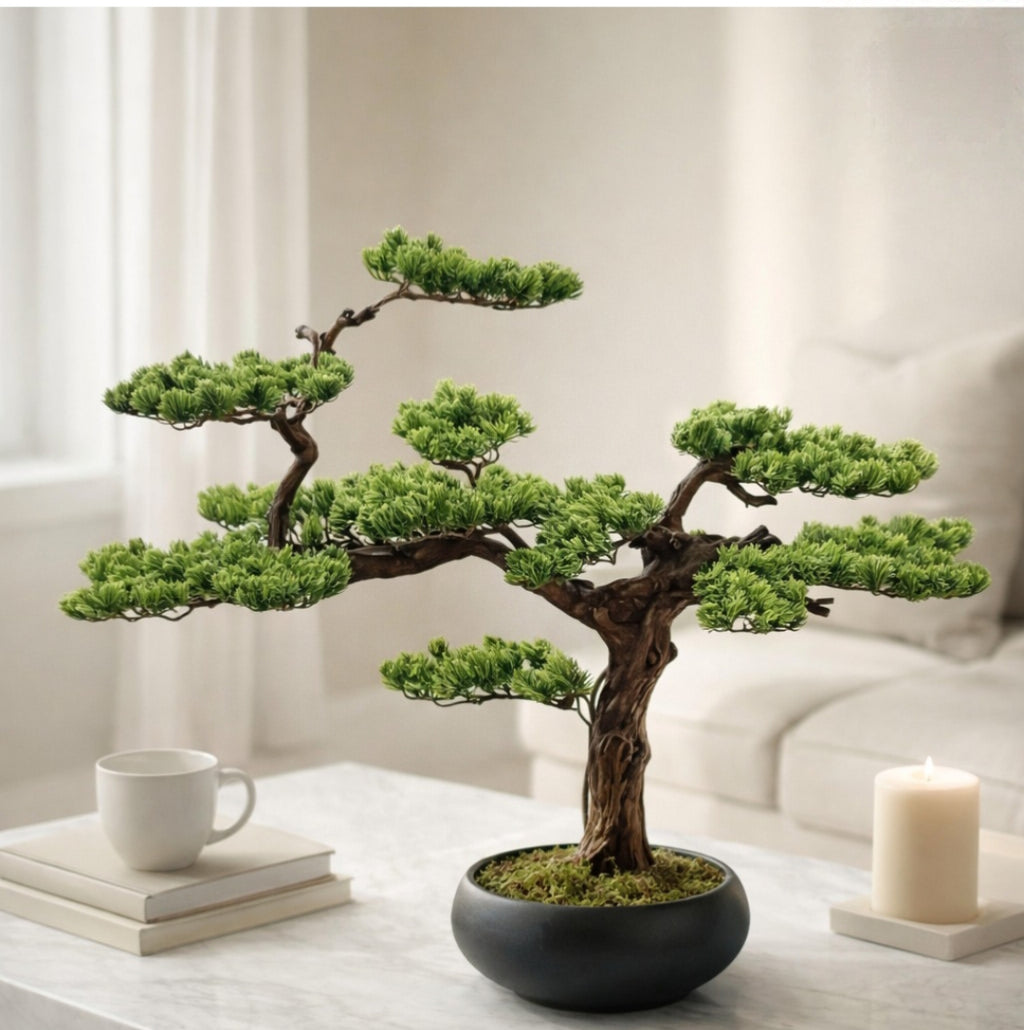 Bonsai-Baum.
