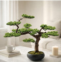 Bonsai-Baum.